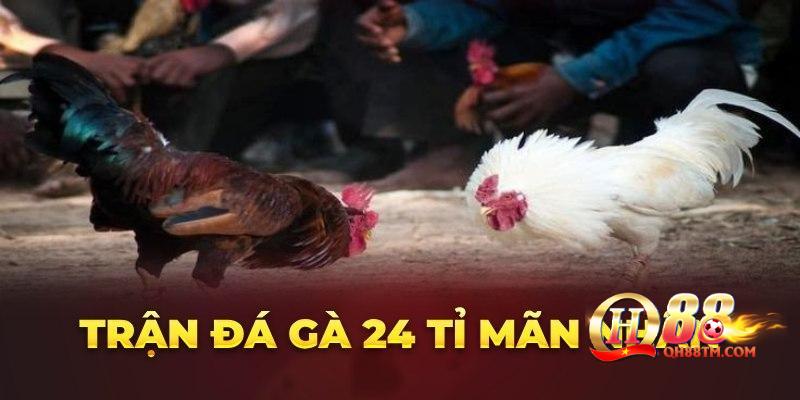 Cuộc chiến có thực sự diễn ra?